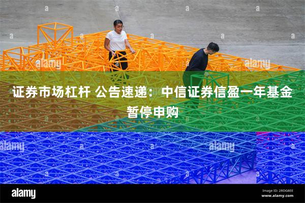 证券市场杠杆 公告速递：中信证券信盈一年基金暂停申购