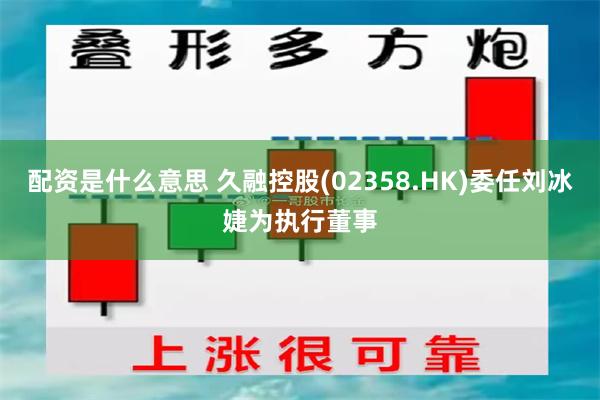 配资是什么意思 久融控股(02358.HK)委任刘冰婕为执行董事