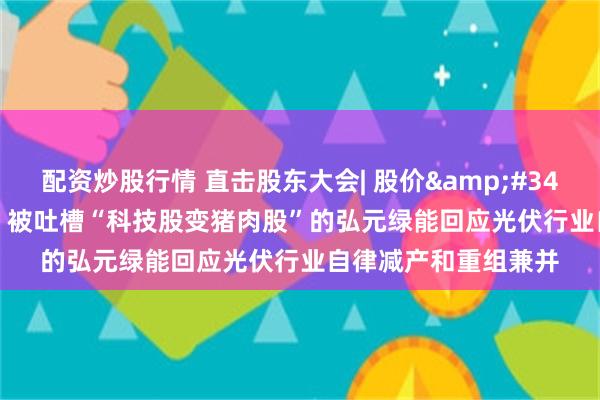 配资炒股行情 直击股东大会| 股价&#34;折叠&#34;，被吐槽“科技股变猪肉股”的弘元绿能回应光伏行业自律减产和重组兼并