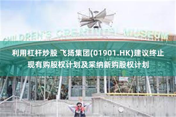 利用杠杆炒股 飞扬集团(01901.HK)建议终止现有购股权计划及采纳新购股权计划