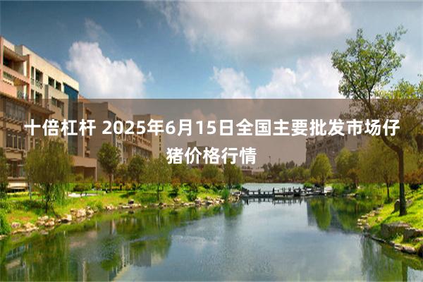 十倍杠杆 2025年6月15日全国主要批发市场仔猪价格行情