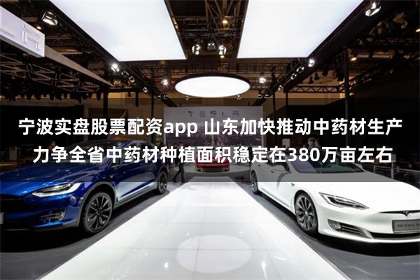 宁波实盘股票配资app 山东加快推动中药材生产 力争全省中药材种植面积稳定在380万亩左右